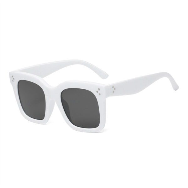 Popular Large Frame Sunglasses-A0013