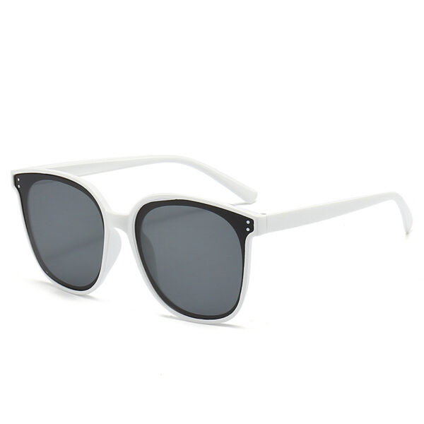 Oversized Round Sunglasses for Women and Men A0011