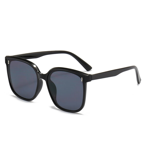 Oversized Round Sunglasses for Women and Men A0011