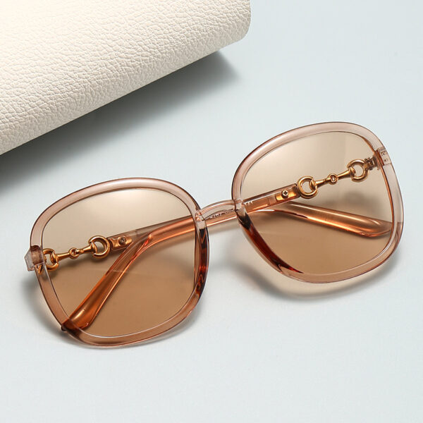 Oval Oversized Vintage Modern Sunglasses for Round Faces (Gucci style)-GCW14B