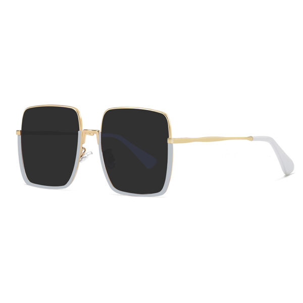 GEOMETRIC-FRAME SUNGLASSES（Ins style & Photochromic)-GCW08B