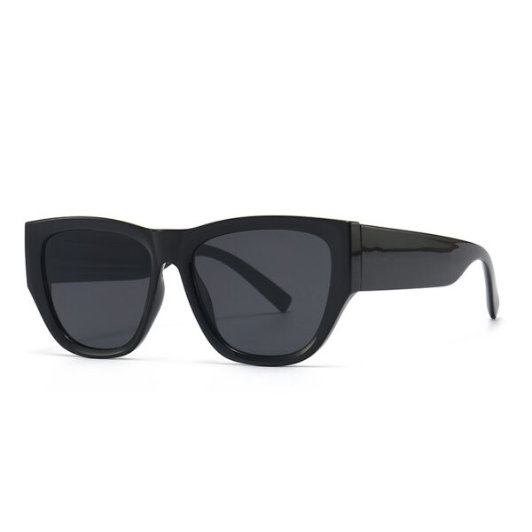 Fashionable Trendy Modern Retro Cat-Eye Sunglasses (Ray-Ban Style)-RaybU03A